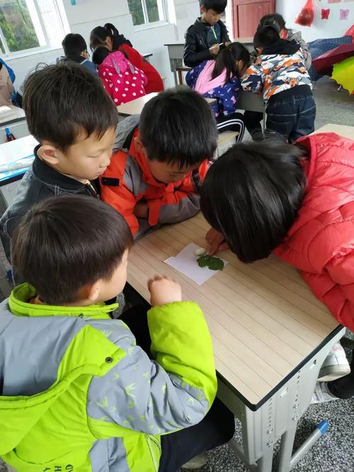 小学课后服务教室孩子围看蚕宝宝吃桑叶的场景