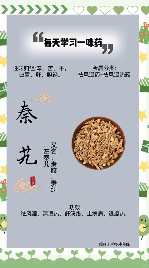 仿生不是万能药，有你看不见的边界