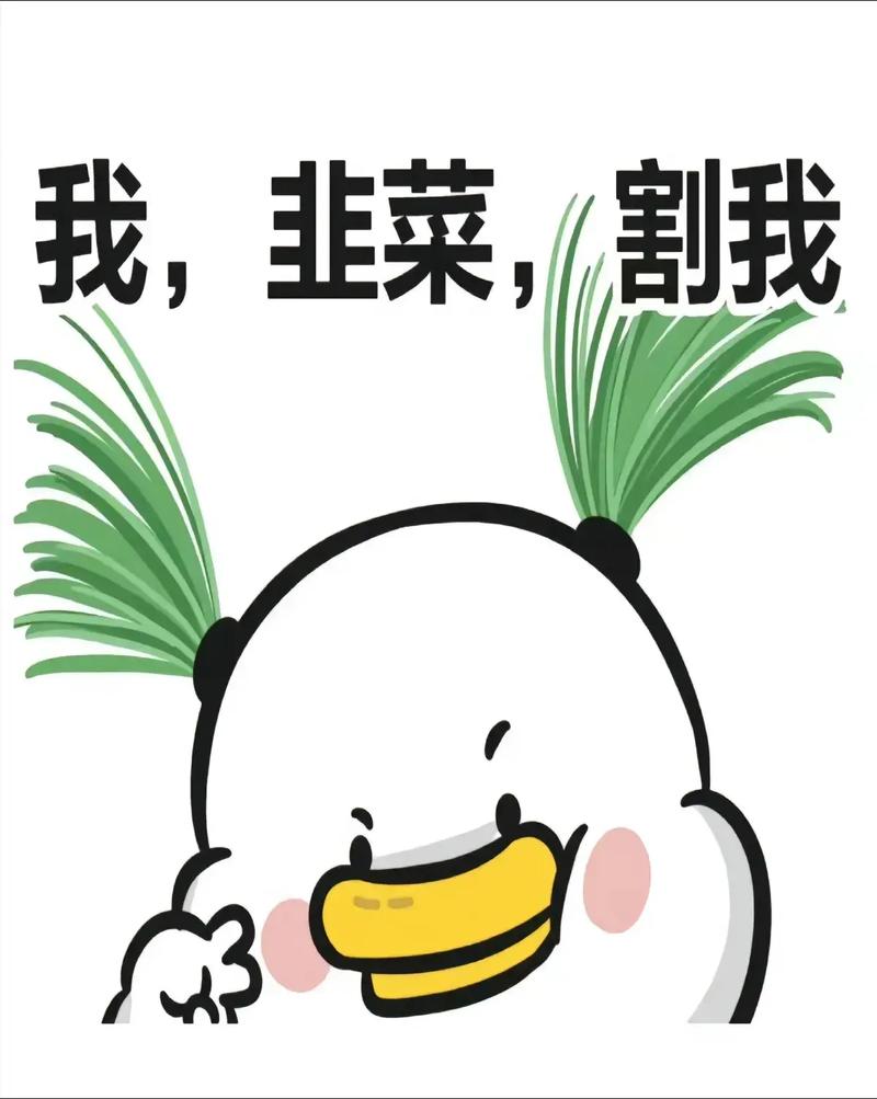 一、网红店的韭菜，我不割了