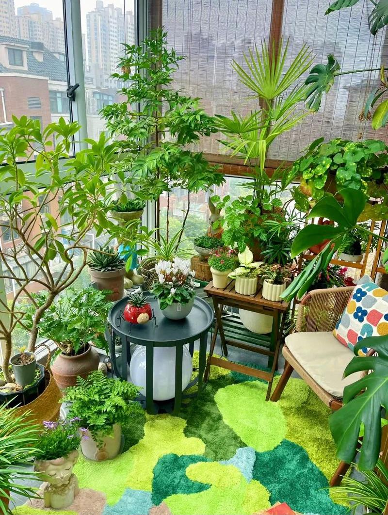 二十四节气变换居家摆放绿植实拍
