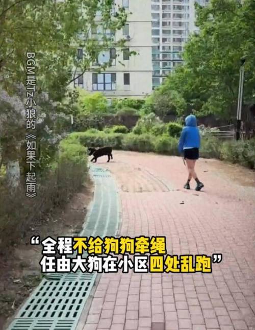 紧急避险撞坏路边摊主的西瓜，真的不用赔吗？ - 云帮法律