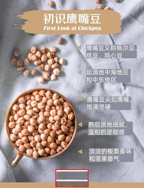 天贝鹰嘴豆沙拉素食蛋白质来源