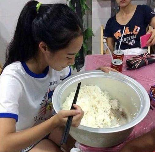 一个饭盆喂全家，真的不行