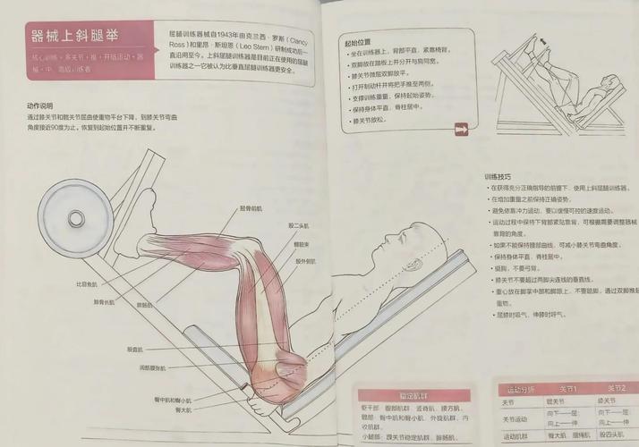一个实用练习法,三天就能蹬着走