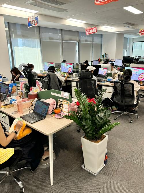独角兽企业开放式办公室年轻员工加班