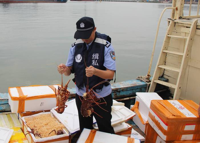 天津港口海关缉私办案场景图