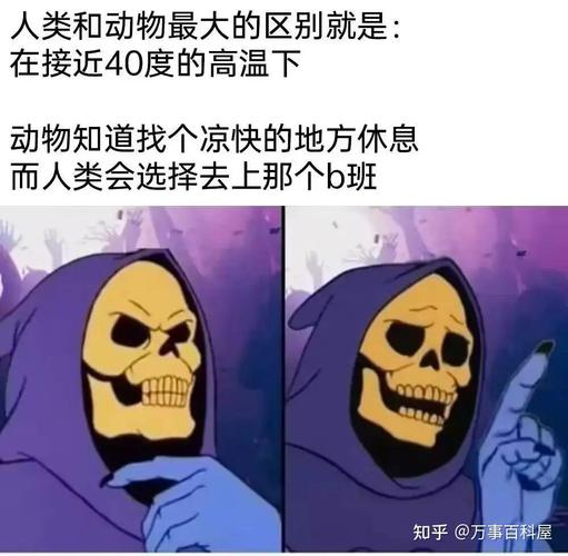 二、你官网败给了百科和知乎
