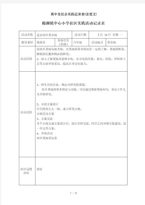 高中生个人发展试错活动记录表