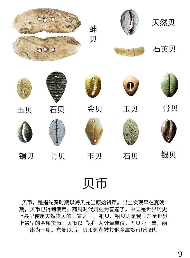 货币发展史：考点梳理与易错点，看完少丢20分-大讲堂
