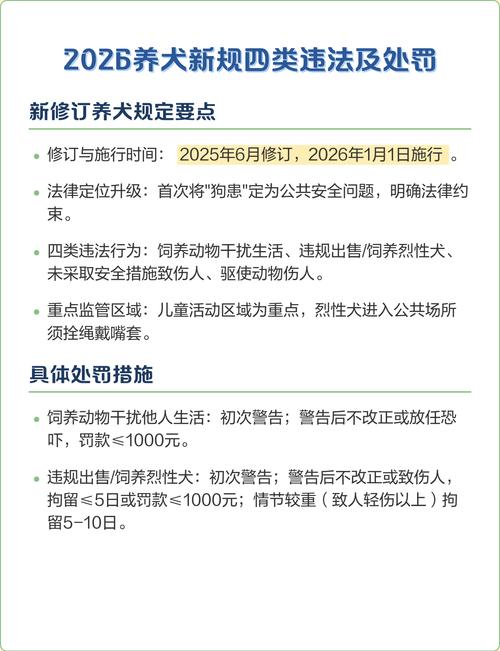 新兴养宠潮里,法律从来没缺位