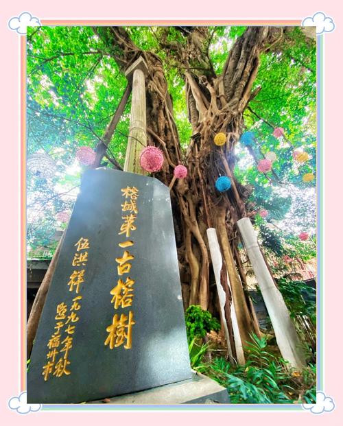 福州古榕树与民居