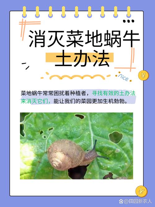 分享一个我一直在用的土办法