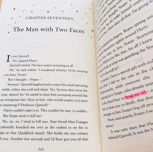 摊开的哈利波特英文原版书页旁注释
