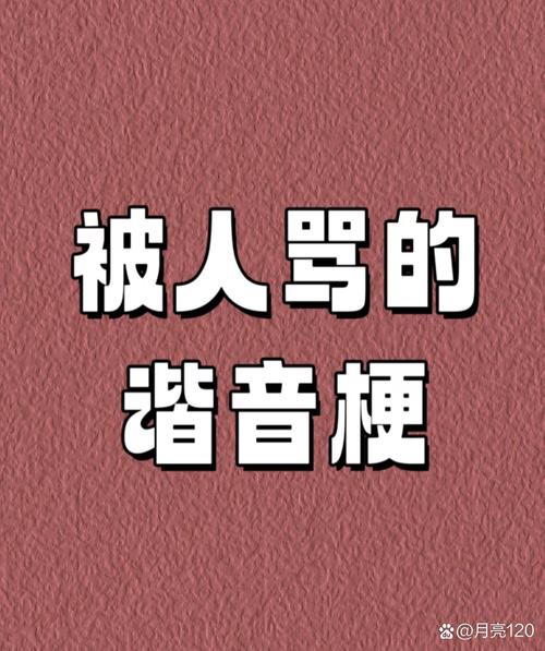 冷到北极圈:这些剧要不是我看了,可能永远没人提