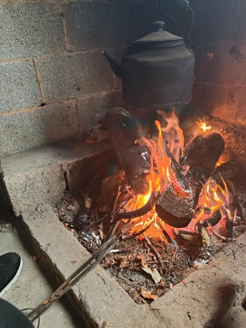 传统烟熏炉篝火熏制食材现场图
