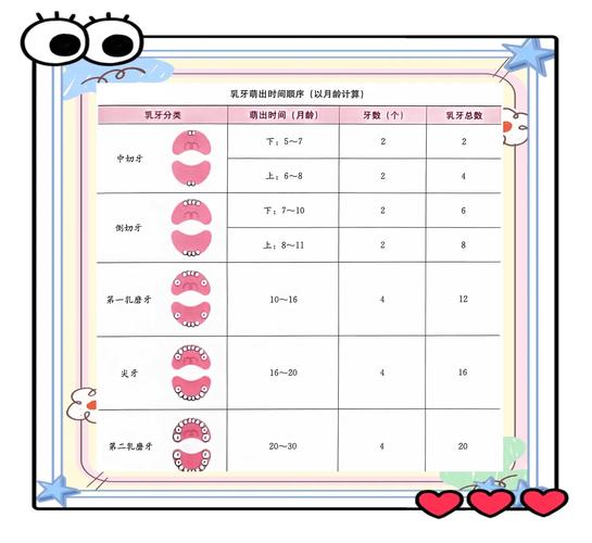 宝宝乳牙萌出记录表模板