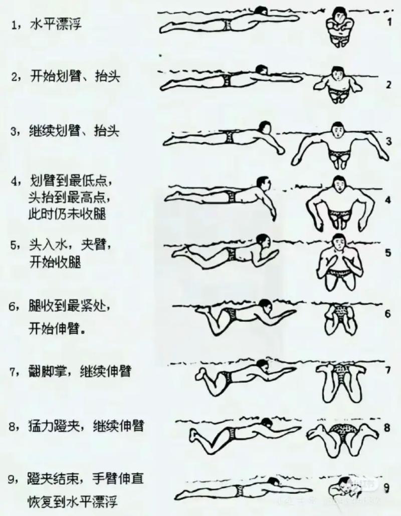 蛙泳蹬腿动作水中分解