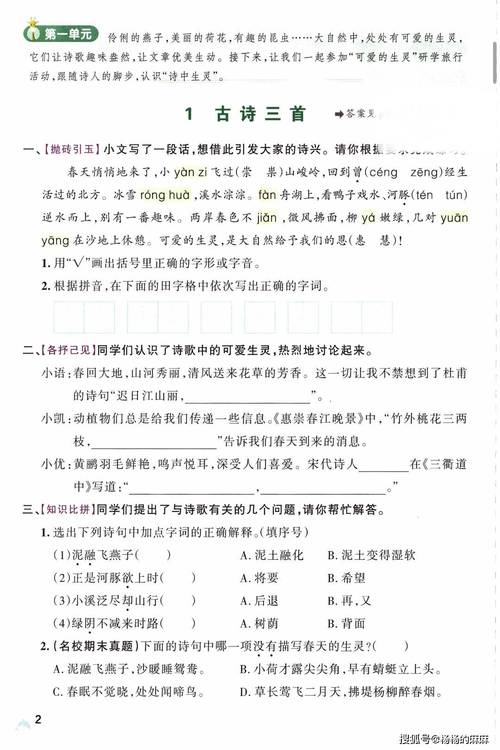 小学生语文作业本夹的带五彩绳碎绒的干艾草叶