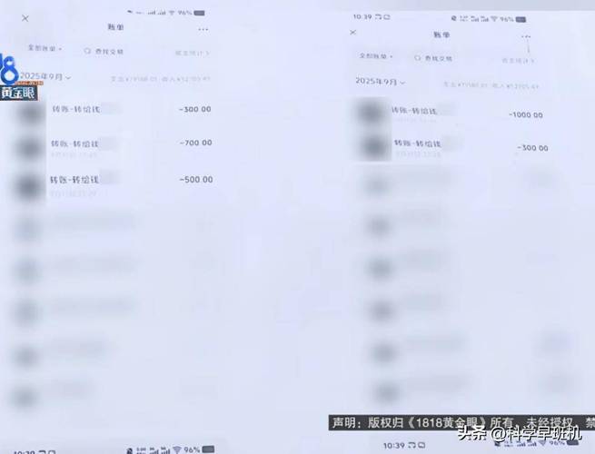 同居共同出资购房转账记录对比图
