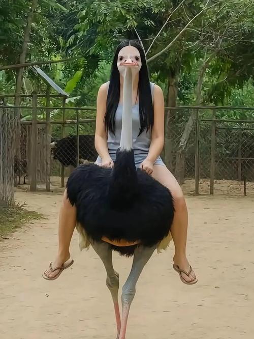 上周刚撞见的巧合