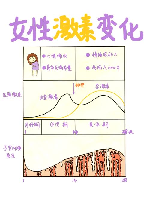 女性经期激素波动情绪变化示意图