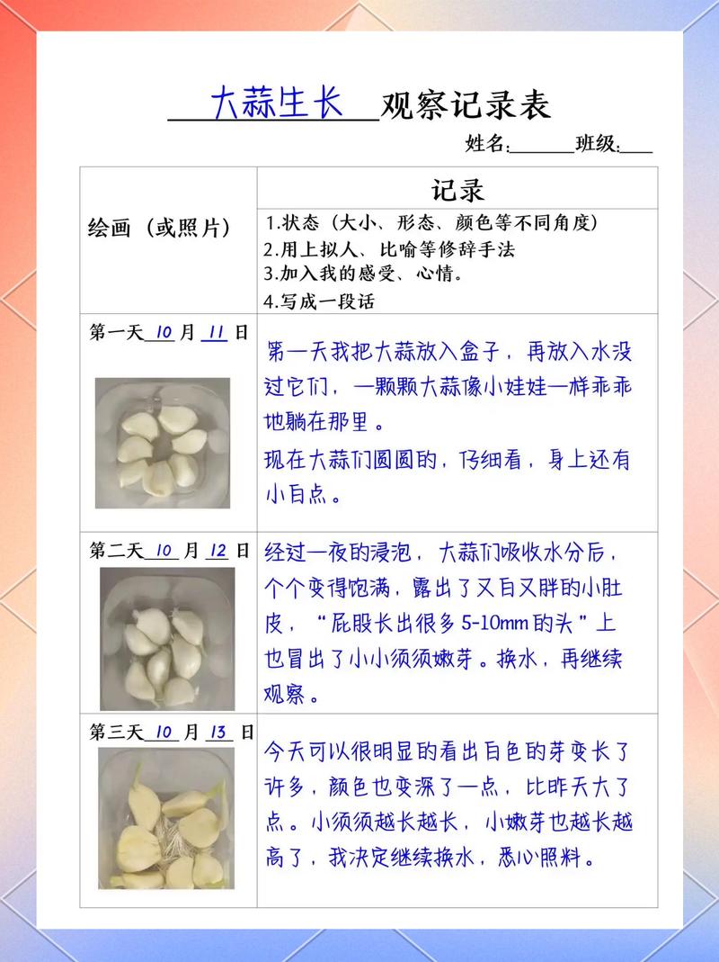 小学生植物观察记录表图文示例