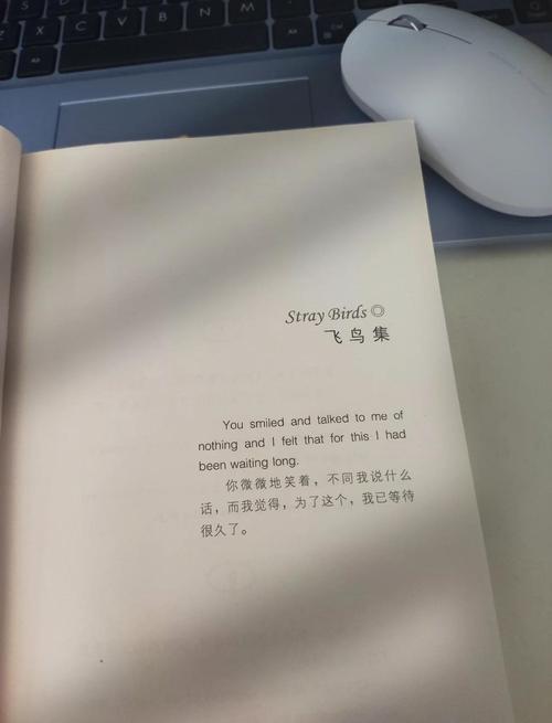 第三站：书圣故里旁边的花鸟市场——被鸟鸣和绿意治愈