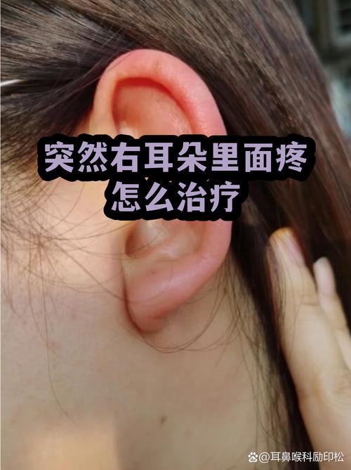 犬猫异物梗阻早期症状居家观察对照表