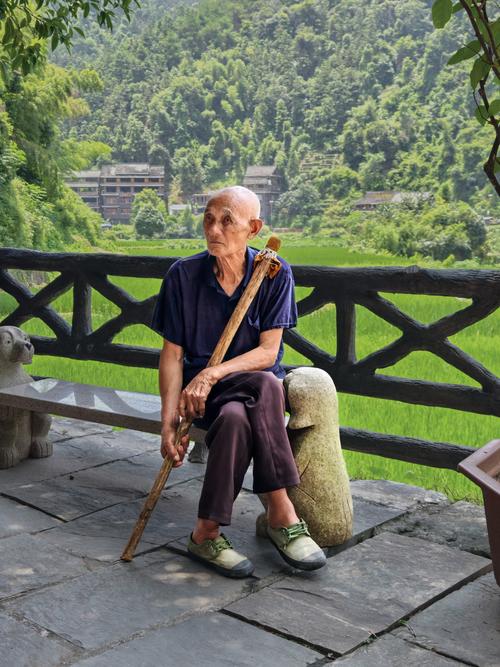 南漳印象老家入口千年古银杏下坐满乘凉的村民