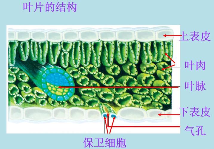 科研成果:那些让我看不懂但大受震撼的操作