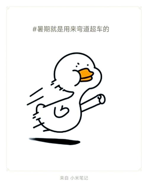 暑期学校真的能“弯道超车”吗？