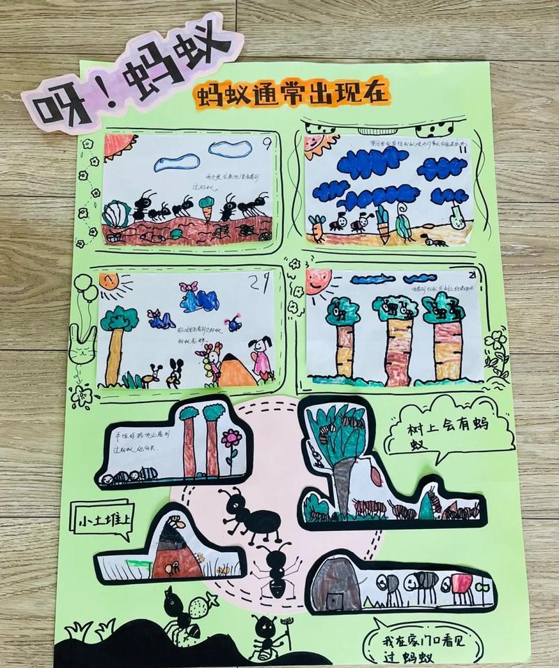 小学儿童小区花坛观察蚂蚁推理路线场景