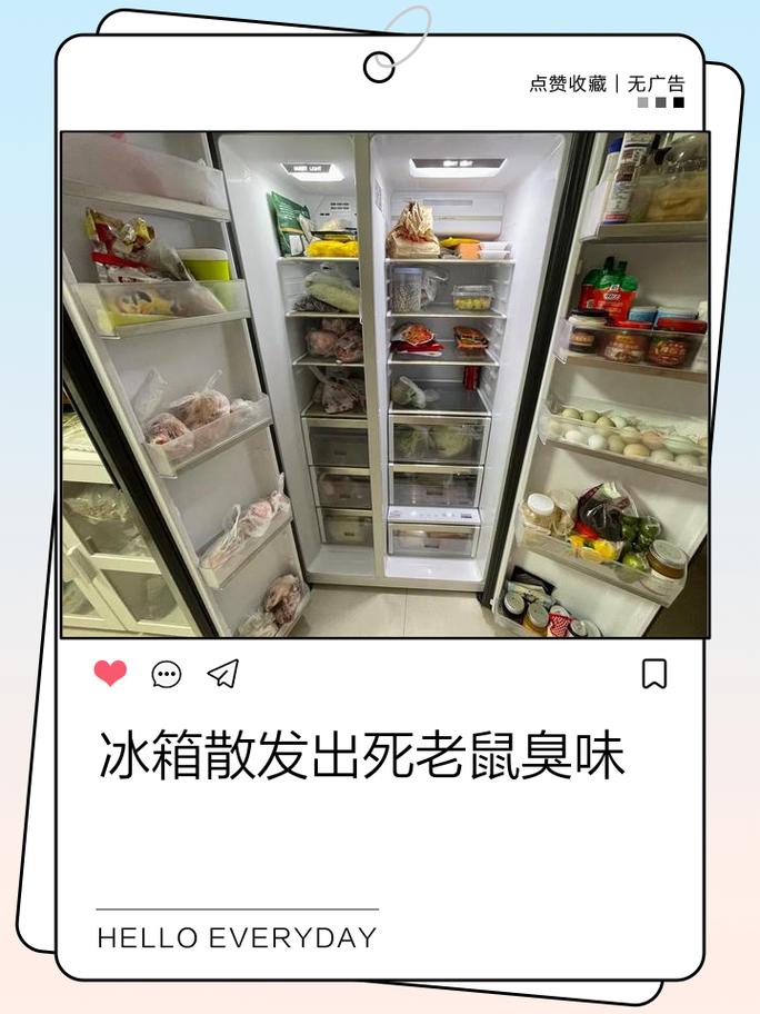 Q: 冰箱一开门就一股怪味？