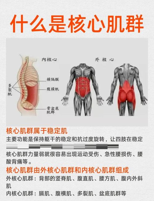 贴合背部才是核心，别贪大容量