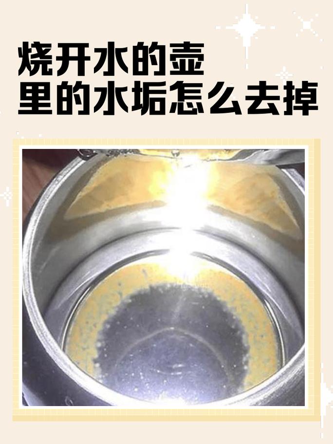 真别等水垢厚到抠不动了才想起清