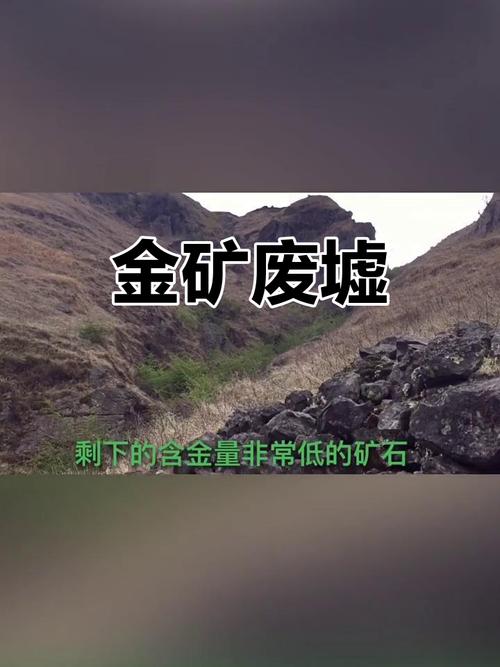 城市矿场：废弃线路板里的金矿