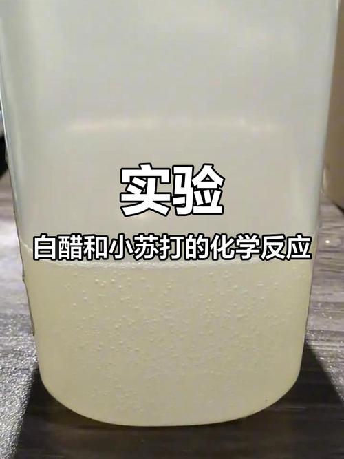 酸碱中和反应图示厨房小苏打白醋