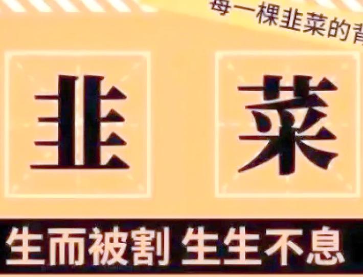 别被“背景提升”割了韭菜