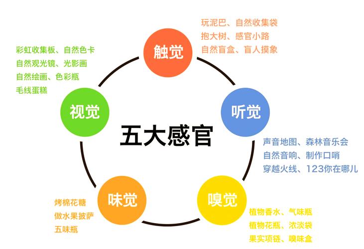感官体验：空间如何影响人
