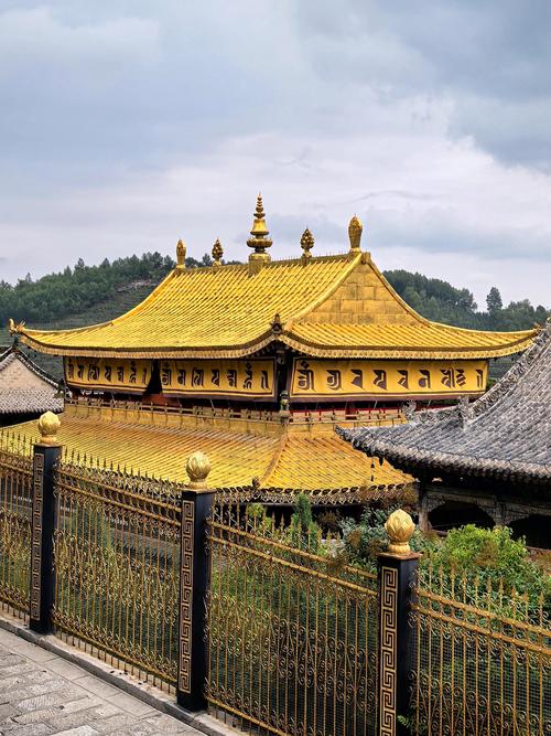 塔尔寺大金瓦殿金瓦屋顶远景