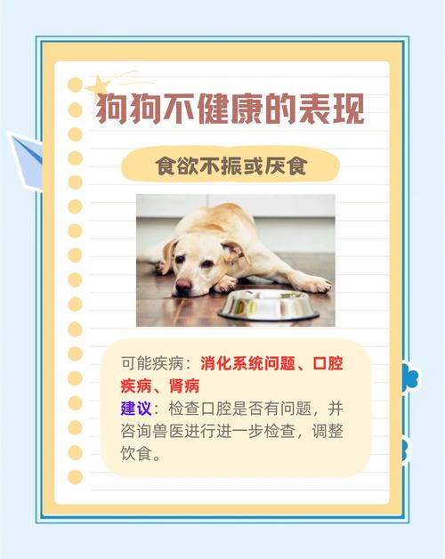 这些信号，别等，立刻找兽医