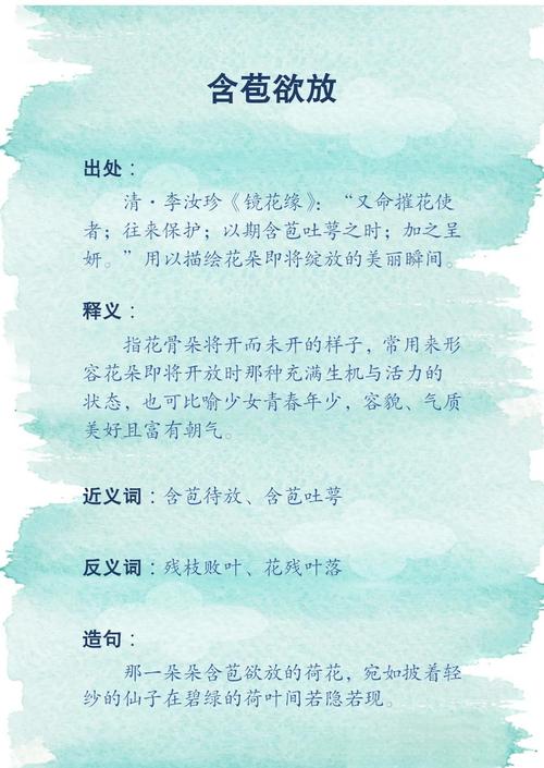 最后，谈谈“花苞”这个词本身