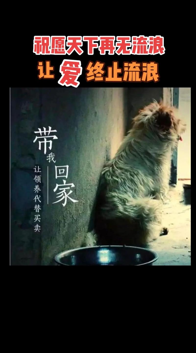 别让领养家庭独自扛着一切