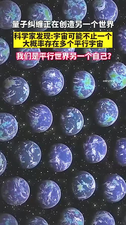 售后？那是另一个宇宙