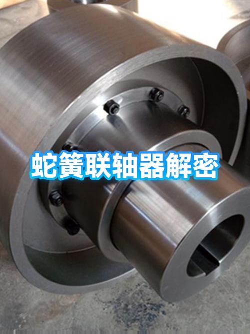 蛇形弹簧联轴器剖切实物图
