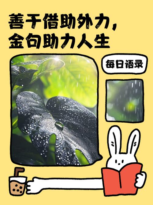 学会和荆棘共处，甚至借它的力