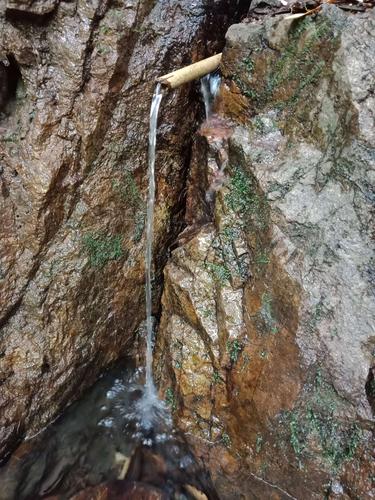 野外山岩缝隙渗泉水实拍