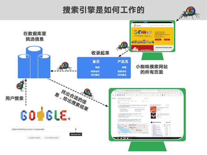 搜索引擎蜘蛛爬取网站路径示意图