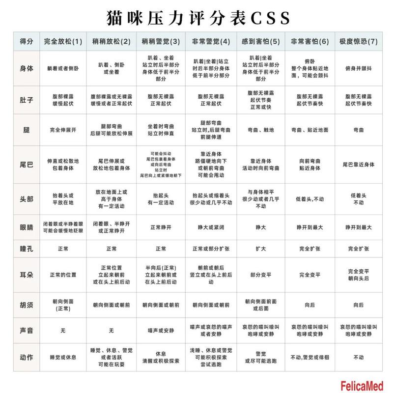 评分标准里的猫腻,比你想象的要多