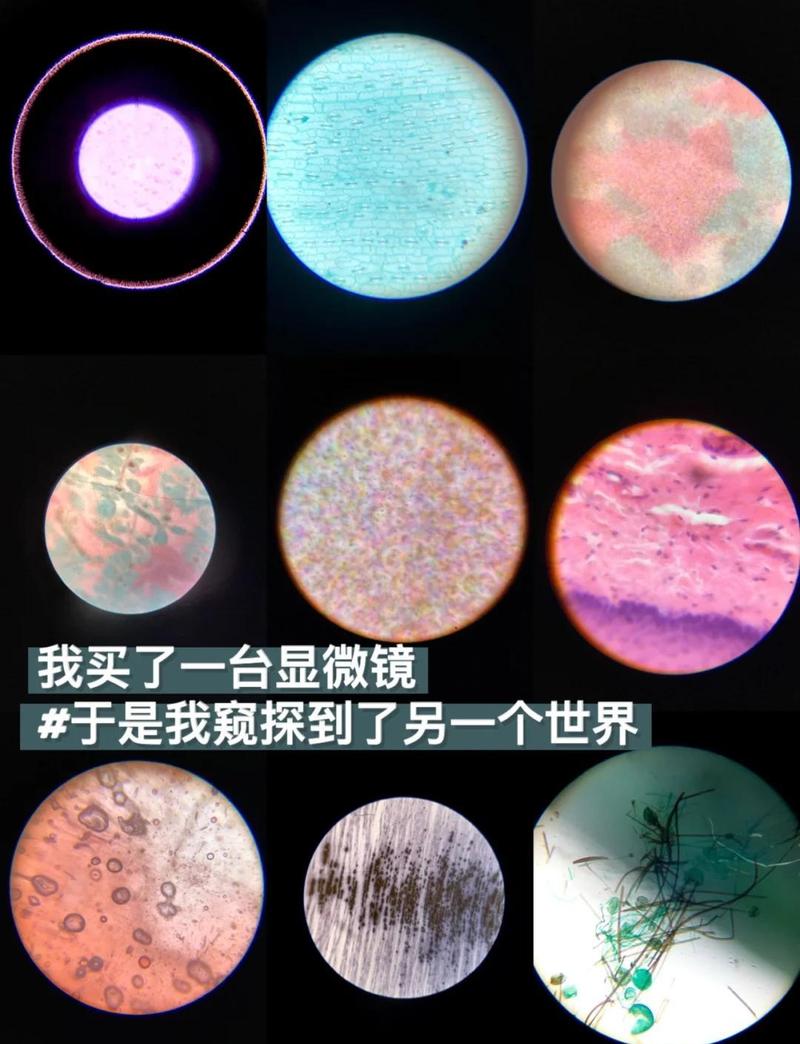 电子显微镜下自清洁涂层微纳结构被污染物填堵的对比照片